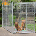 ISO &amp; CE Galvanized Solded Large Dog Crate Kennel